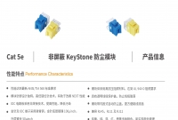 Cat5e 非屏蔽KeyStone 防尘模块